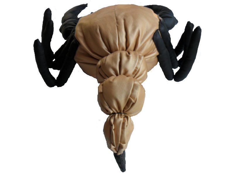 Выкройка скорпиона