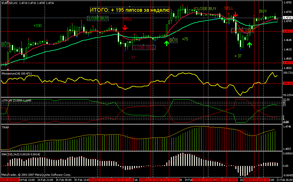 Forex 100 pips a week