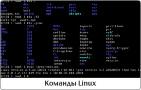 Приглашение командной строки это linux Приглашение командной строки это linux
