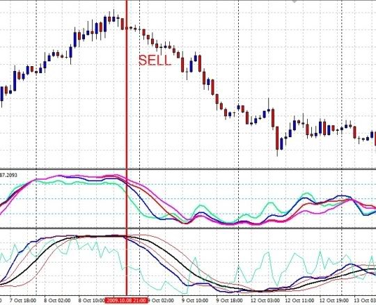 Global ambassadors forex