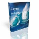 Calypso 1.04  Мультивалютный и хеджевый