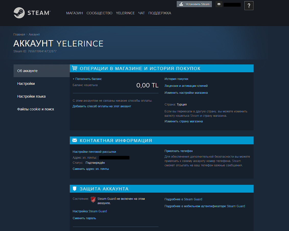 Steam или steam казахстан фото 55