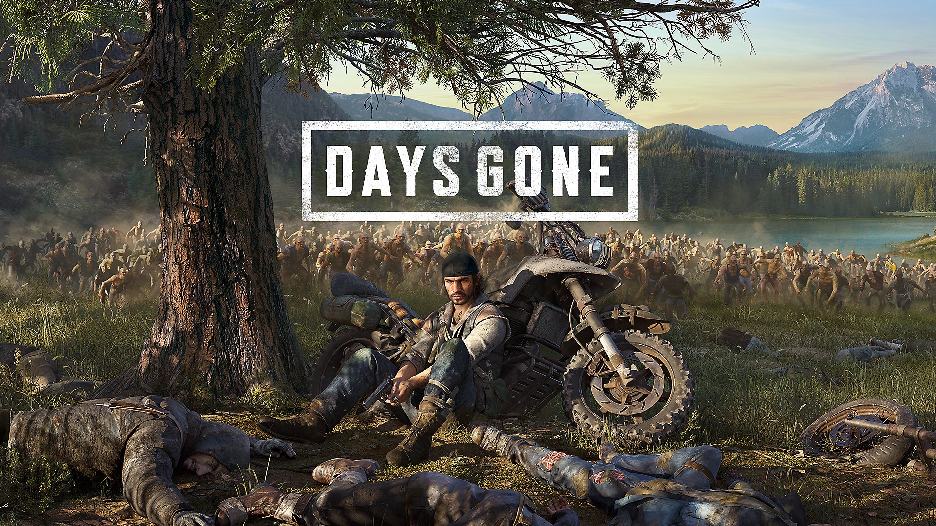 days gone оружейный шкаф