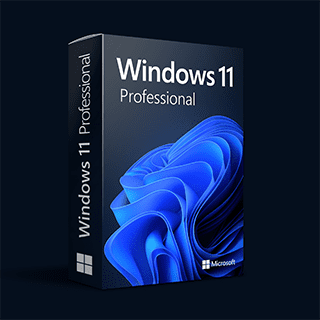 windows 11 pro 64 bit dvd oem version
