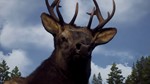 🦌🦌🦌 Way of the Hunter+DLC🛒PAYPAL🌍STEAM 🦌🦌🦌 - irongamers.ru