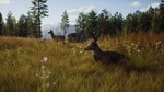 🦌🦌🦌 Way of the Hunter+DLC🛒PAYPAL🌍STEAM 🦌🦌🦌 - irongamers.ru