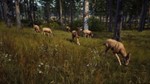 🦌🦌🦌 Way of the Hunter+DLC🛒PAYPAL🌍STEAM 🦌🦌🦌 - irongamers.ru