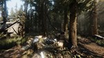 ** Heat Steam Gift * АВТОВЫДАЧА * ВСЕ РЕГИОНЫ *