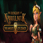 * The Dungeon Of Naheulbeuk: The Amulet Of Chaos Steam*