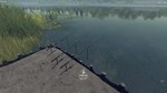 ** Fisher Online Steam Gift * АВТОВЫДАЧА * ВСЕ РЕГИОНЫ