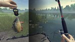 ** Fisher Online Steam Gift * АВТОВЫДАЧА * ВСЕ РЕГИОНЫ