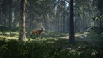 * theHunter: Call of the Wild Steam Gift *АВТО *РОССИЯ