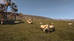 * Ancient Cities Steam Gift * АВТОВЫДАЧА * ВСЕ РЕГИОНЫ