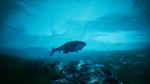 *Beasts of Bermuda Steam Gift *АВТОВЫДАЧА *ВСЕ РЕГИОНЫ