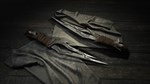 Hunt: Showdown - The Shadow Under the Cowl * STEAM RU