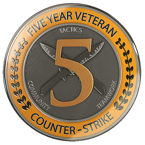 🔥 CS:GO account | 5 and 10 Years of Service Medal 🔥