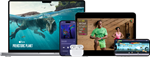 Ключ Apple (лицензия): TV+ Music Arcade iCloud+Fitness+