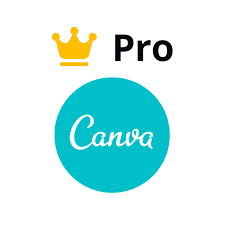 Фотография canva pro пожизненная премиум-подписка изменение данных