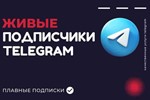 Подписчики Telegram | 1000 подписчиков Россия