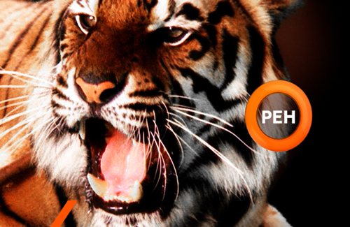 Buy Мобильное ТВ and download