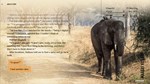 *Wanderlust: Travel Stories\GOG\Весь Мир + РФ\Ключ