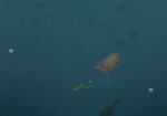 *They Breathe\Steam\Весь Мир + РФ\Ключ