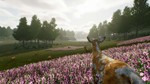 *Deer Journey\Steam\Весь Мир + РФ\Ключ