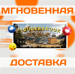 *Truberbrook / Tr*berbrook\Steam\Весь Мир + РФ\Ключ