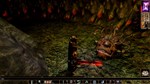 *Neverwinter Nights: Enhanced Edition\Steam\Весь Мир\