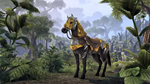 The Elder Scrolls Online - Dragon Slayer Mount \ XBOX