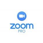 Zoom one pro  100P meeting 1 месяц(1GB)