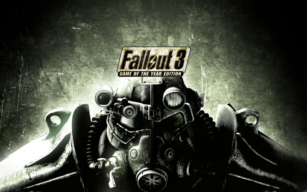 Fallout 3 game of the year edition стим фото 3