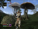 The Elder Scrolls III: Morrowind XBOX*На Любой аккаунт