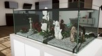 ***Aquarium Designer XBOX*Покупка на Ваш аккаунт*** *