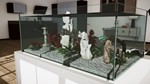 ***Aquarium in Cafe XBOX*На Любой аккаунт*** *