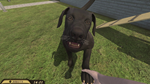 ***Pets Hotel XBOX*Покупка на Ваш аккаунт***