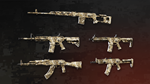 ***Deadside: Sandstorm Skin Set XBOX*Куплю на Ваш ак***