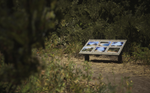 ***Lushfoil Photography Sim XBOX*На Ваш аккаунт***