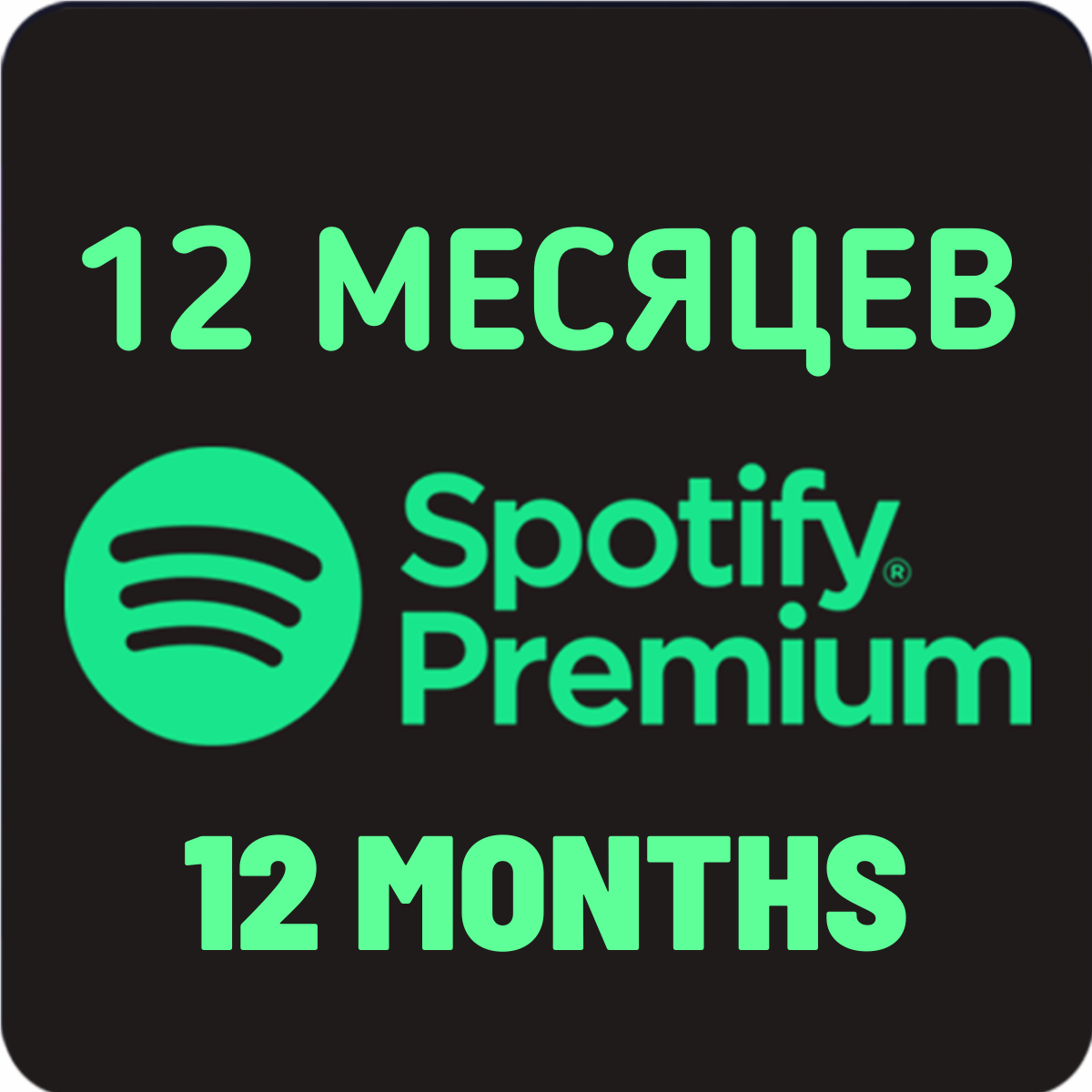 Купить ✅6/12 месяцев spotify premium индивидуальная подписка✅ Фотография ✅6/12 месяцев spotify premium индивидуальная подписка✅