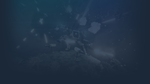 * Project Lazarus | Steam РУ+UA+KZ+СНГ*