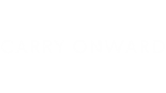 * Carry Onward | Steam РУ+UA+KZ+СНГ*