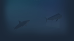 * Fish on the desktop | Steam РУ+UA+KZ+СНГ*