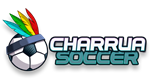 * Charrua Soccer | Steam РУ+UA+KZ+СНГ*