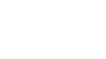 * Dust Fleet | Steam РУ+UA+KZ+СНГ*