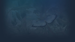 * Flutter Away | Steam РУ+UA+KZ+СНГ*