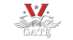 * V Gate | Steam РУ+UA+KZ+СНГ*