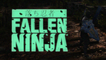* * Fallen Ninja | Steam РУ+UA+KZ+СНГ*