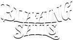 * Blazing Sails | Steam РУ+UA+KZ+СНГ*