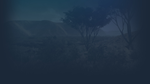 * Straya | Steam РУ+UA+KZ+СНГ*