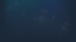 * Wyvia | Steam РУ+UA+KZ+СНГ*